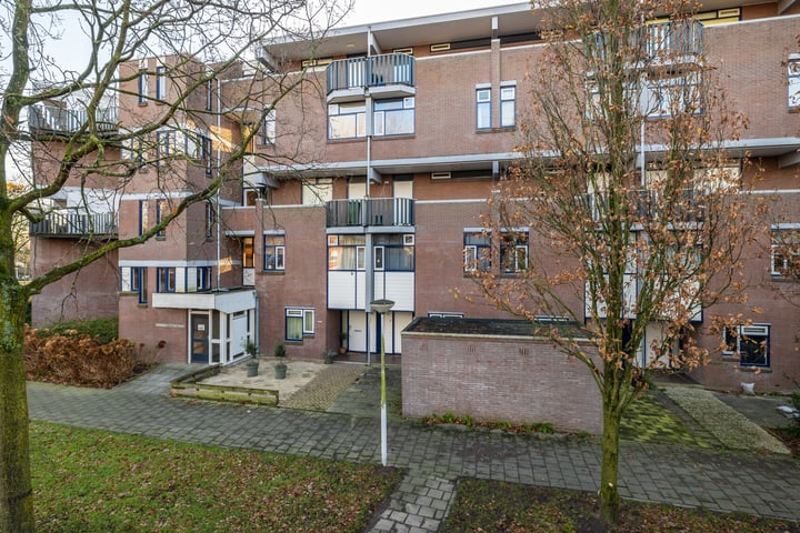 Hollandsch Diep 203 in Zaandam