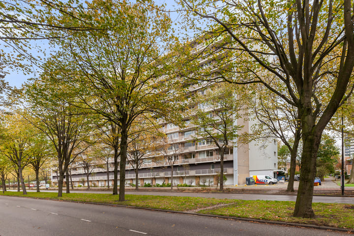 Holysingel 242 in Vlaardingen