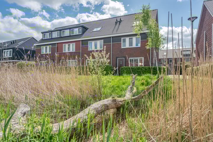 Honderdspint 9 in Haren Gn