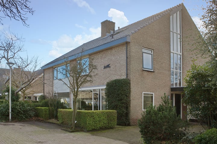 Hondsdraf 25 in Naaldwijk