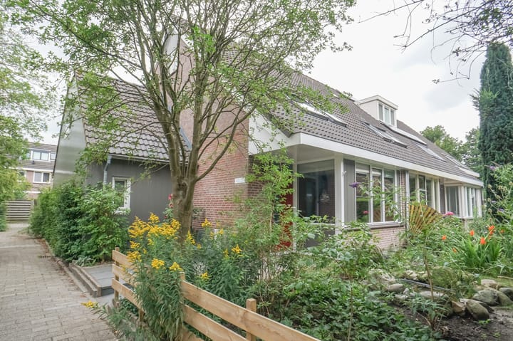 Hondsdraf 51 in Zwaag