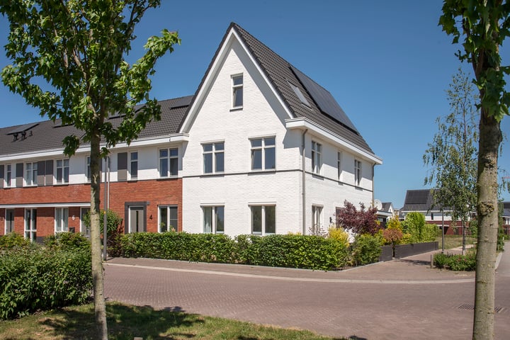 Honingbes 2 in Borne