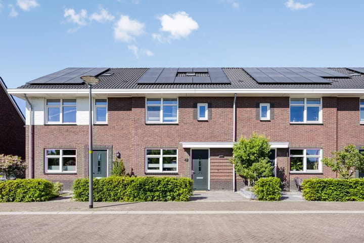 Honingbes 42 in Borne