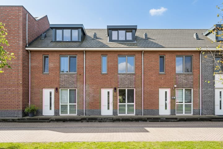 Honingbij 104 in Son en Breugel