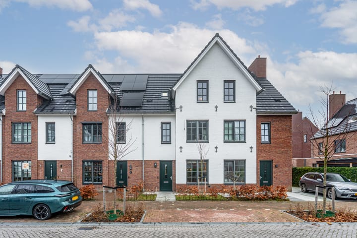 Honingbij 3 in Waddinxveen