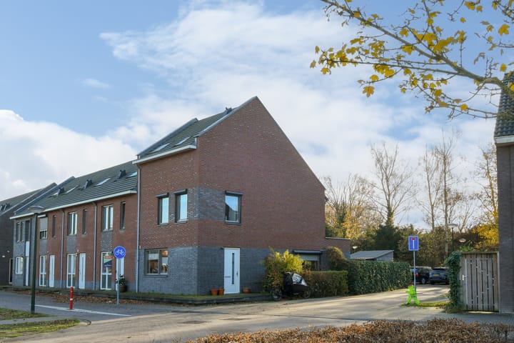 Honingbij 78 in Son en Breugel