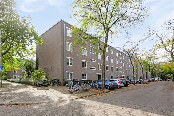 Honingen 2 in Amsterdam