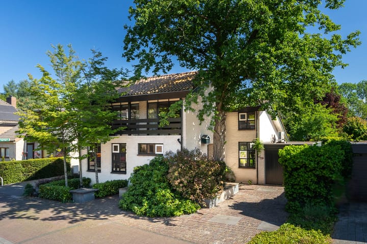 Honingzwam 110 in Alphen aan den Rijn