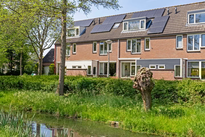 Honingzwam 92 in Alphen aan den Rijn