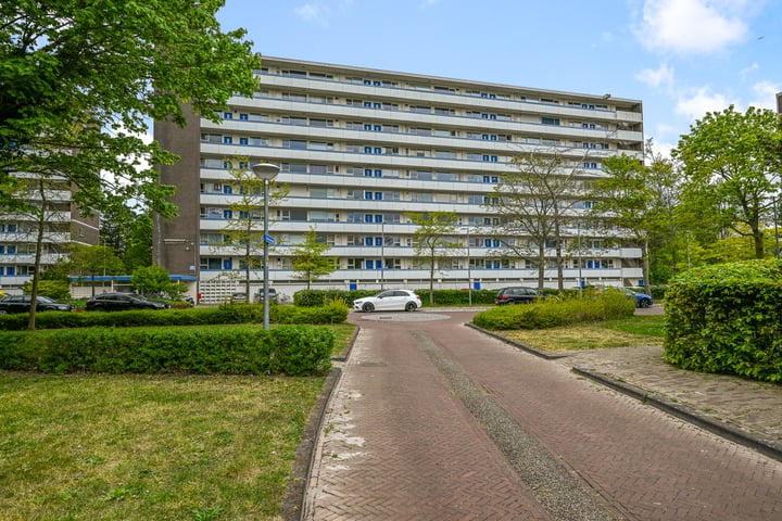 Honthorstlaan 218 in Alkmaar
