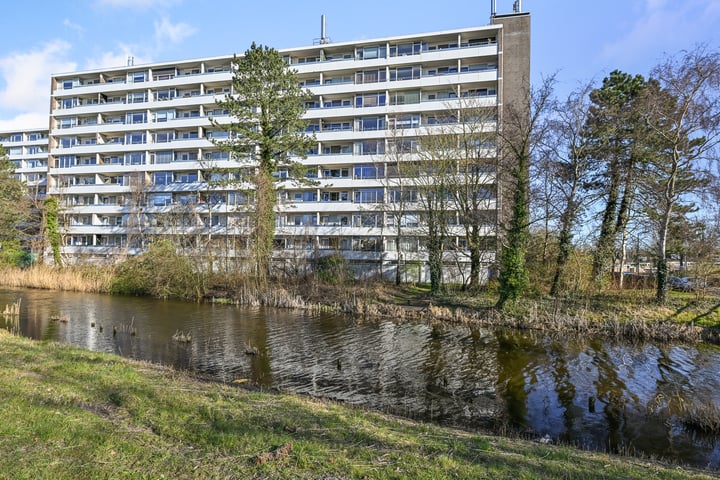 Honthorstlaan 372 in Alkmaar