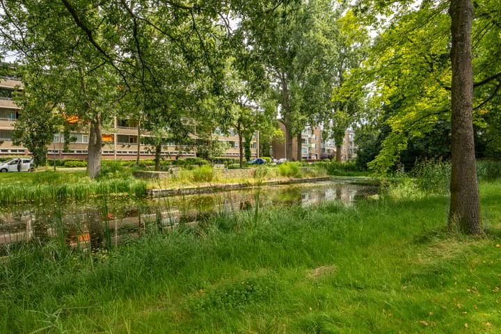 Photo of property Hora Siccamasingel 135, Groningen