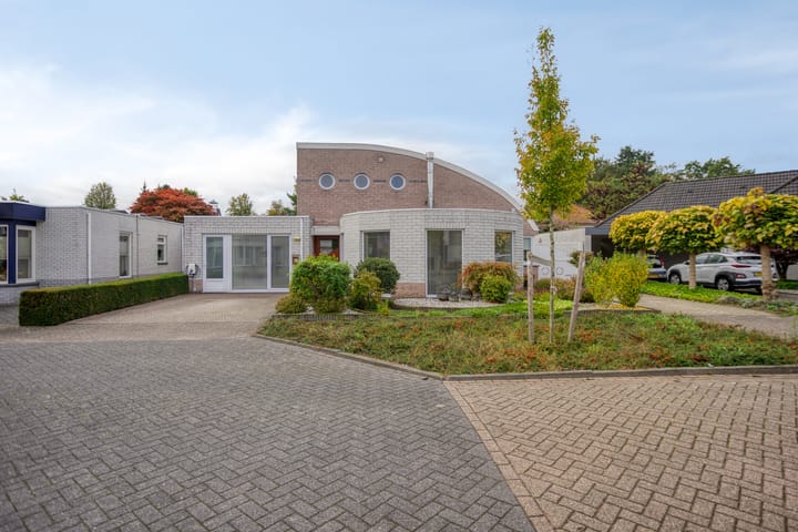 Hortensia 12 in Valkenswaard photo
