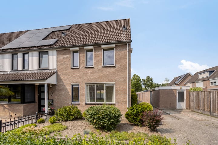Houtduif 11 in Weert