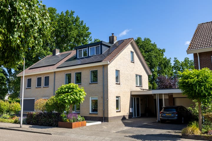 Houtduif 6 in Raalte