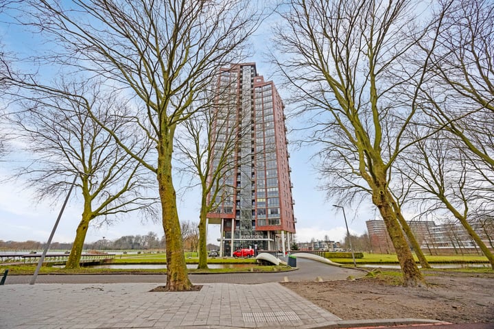 Ien Daleshof 59 in Rotterdam