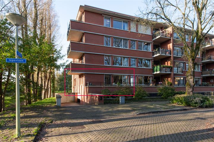 Iepenlaan 74 in Alkmaar