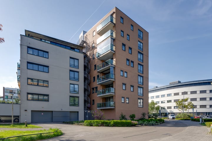 Iepstate 21 in Purmerend
