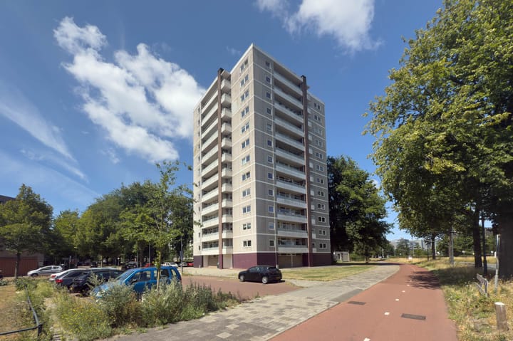 Ierlandstraat 173 in Haarlem