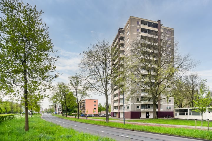 Ierlandstraat 193 in Haarlem