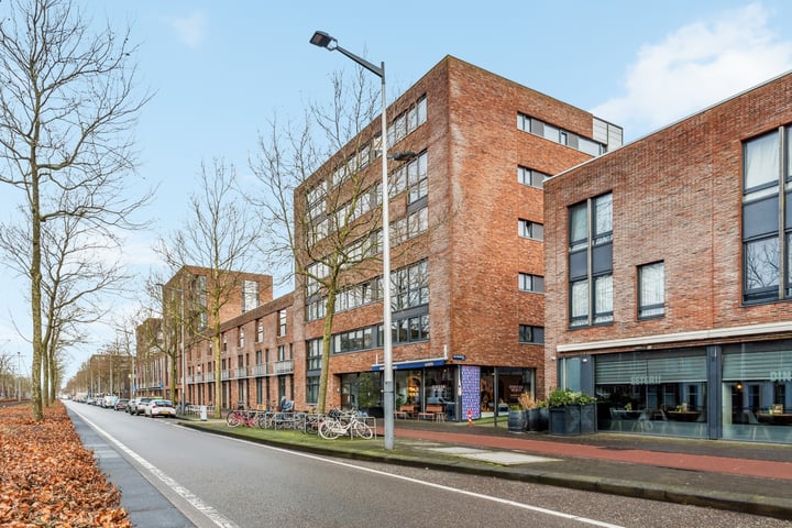 IJburglaan 1353 in Amsterdam
