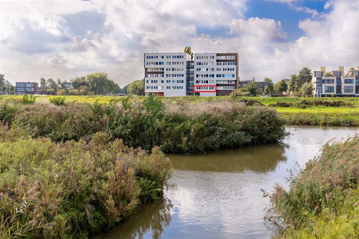 IJseendplein 6 in 's-Gravenhage