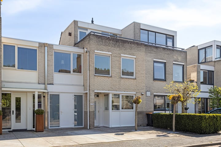 IJsvogel 130 in Maarssen