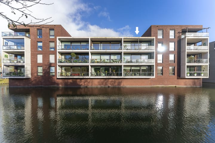 IJsvogel 23 in Blokker foto