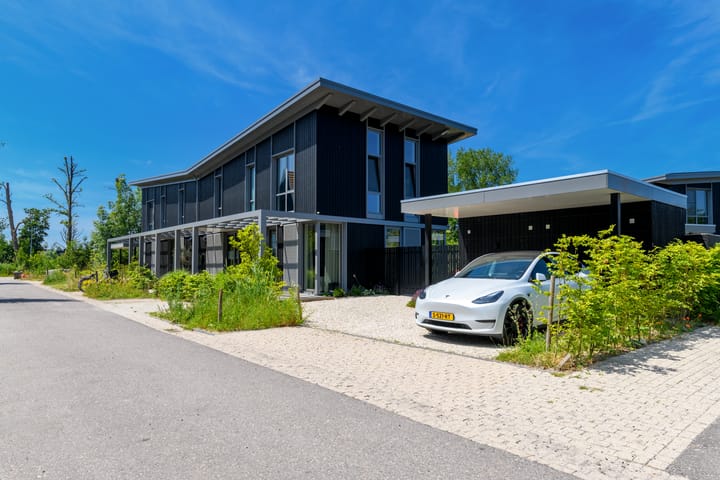 IJsvogel 28 in Muiden foto