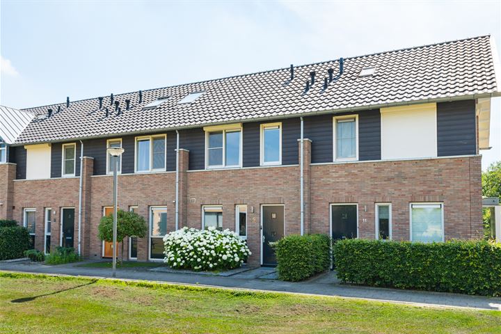 IJsvogel 9 in Lichtenvoorde