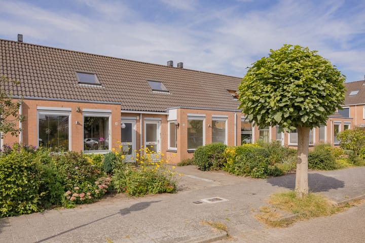 Indiapad 8 in Alphen aan den Rijn