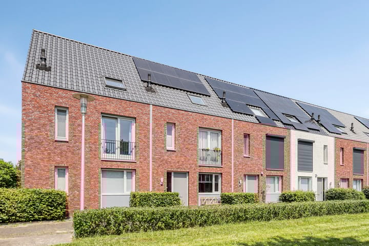 Inktzwam 7 in Apeldoorn