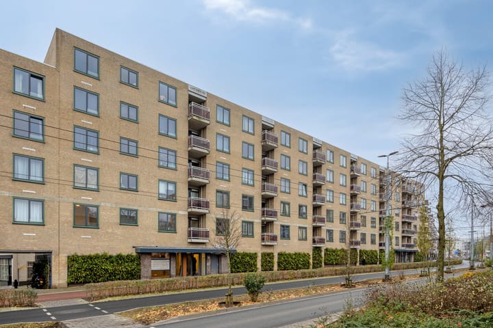 Ir J.P. van Muijlwijkstraat 302 in Arnhem