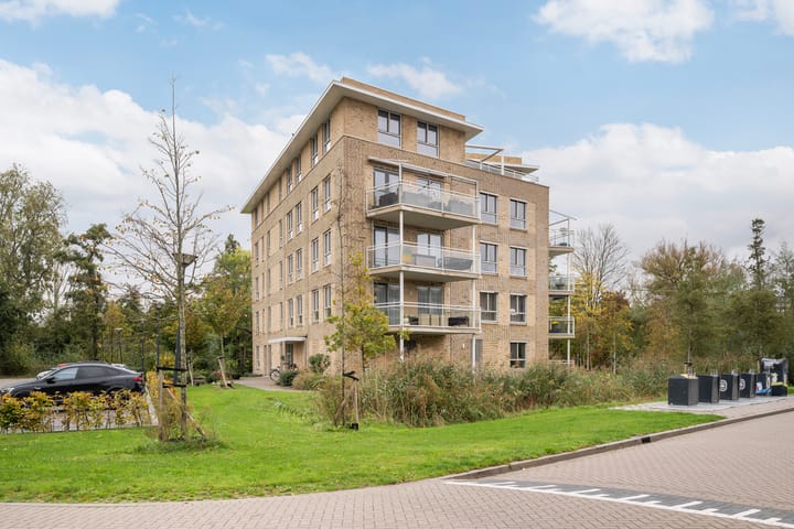 Ireen Wüststraat 145 in Schiedam