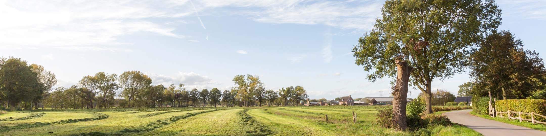 Kantoorfoto Irene van Aken Makelaardij