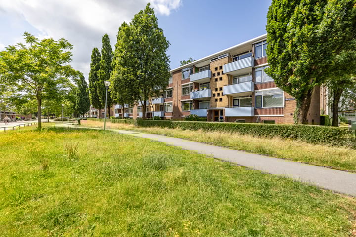 Jacob van Ruysdaelstraat 13 in Groningen