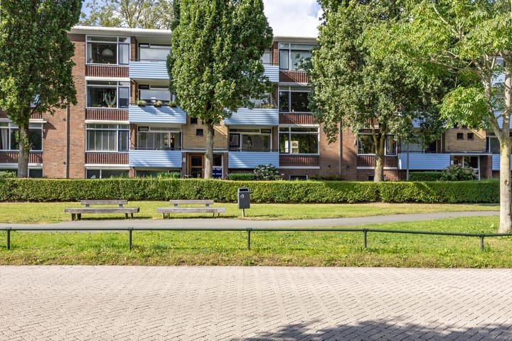 Jacob van Ruysdaelstraat 15 in Groningen Foto