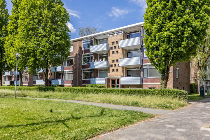 Jacob van Ruysdaelstraat 5 in Groningen