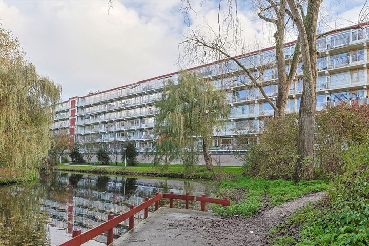 Jacques Urlusplantsoen 213 in Leiden