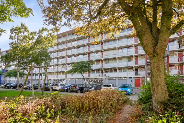 Jacques Urlusplantsoen 361 in Leiden