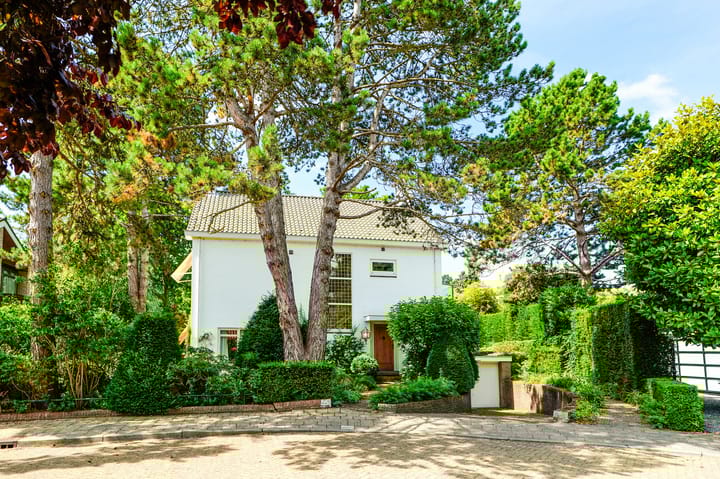 Jan Muschlaan 12 in 's-Gravenhage foto