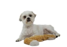 Photo of Joep