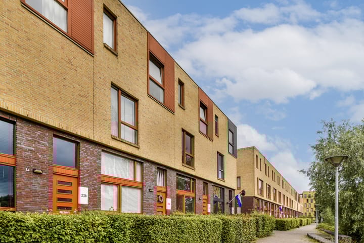Johan de Wittstraat 232 in Vlaardingen