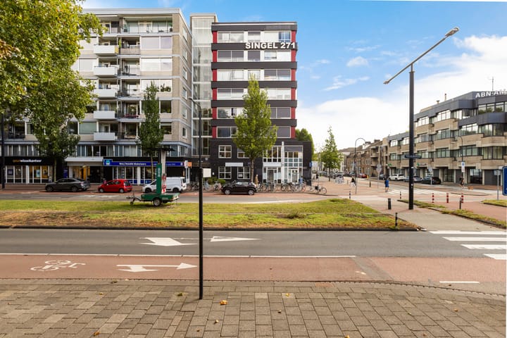 Johan de Wittstraat 266 in Dordrecht
