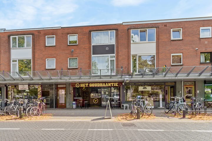Johan van Oldenbarneveltlaan 78 in Zeist
