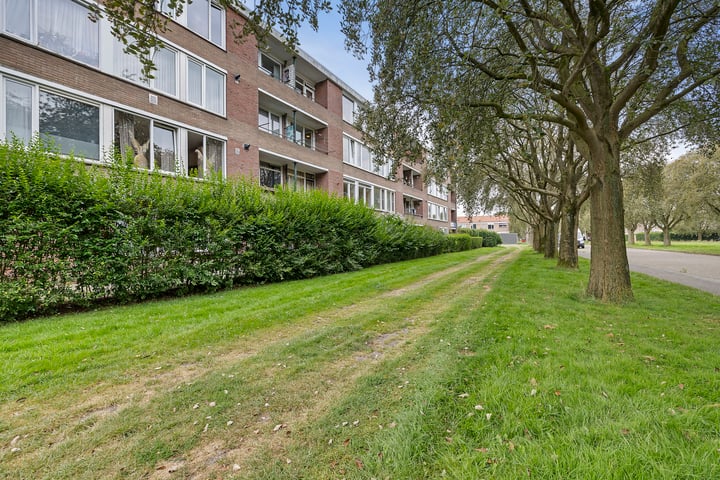 Johannes Vermeerstraat 81 in Coevorden