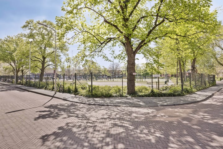 Joris van der Haagenstraat 42 in 's-Gravenhage