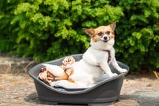 Foto von Juna Bos