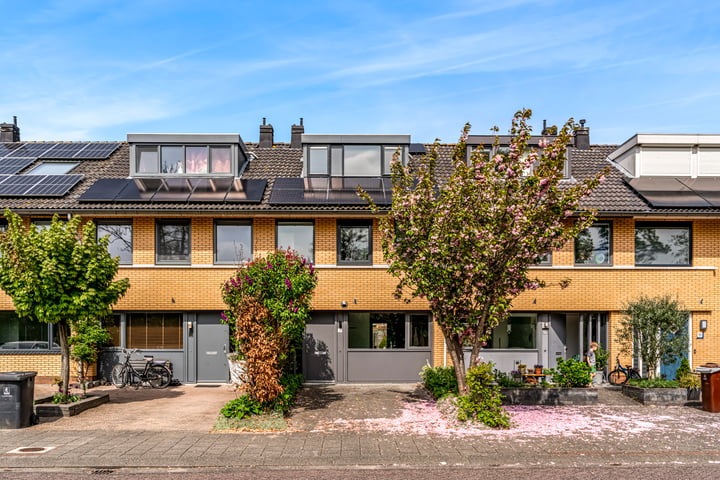 Juno 11 in Wijk bij Duurstede