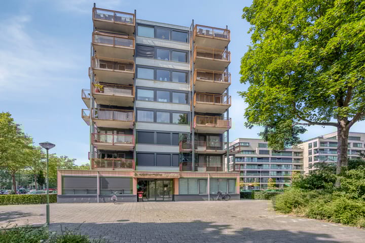 Kaap Hoorn 22 in Hoorn